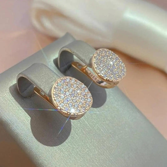Elegant and shiny earrings