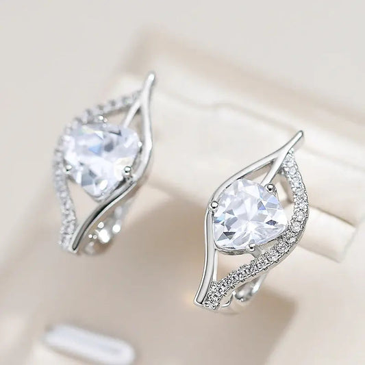 Elegant shiny silver earrings